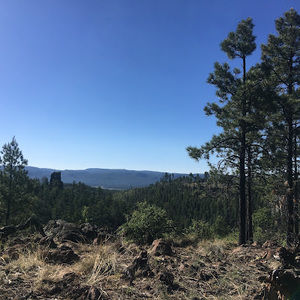 Meet your Posher, Charles